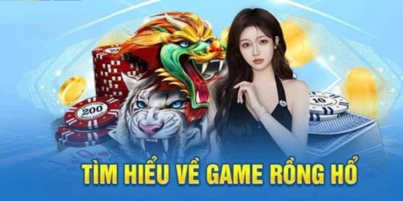 Khái niệm Rồng Hổ KUBET