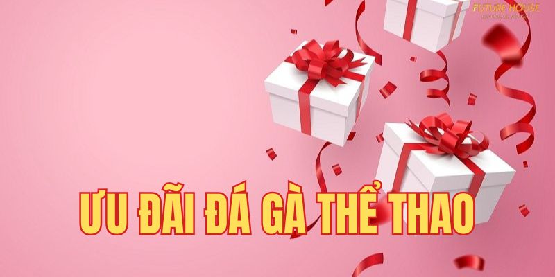 Cược Đá Gà - Thể Thao nhận ngay thưởng tới 28.888K 