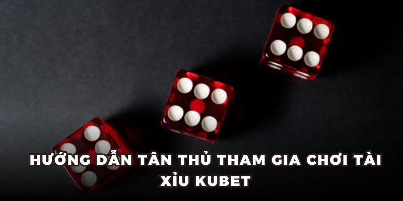 Hướng dẫn tân thủ 3 bước tham gia chơi tài xỉu KUBET dễ dàng