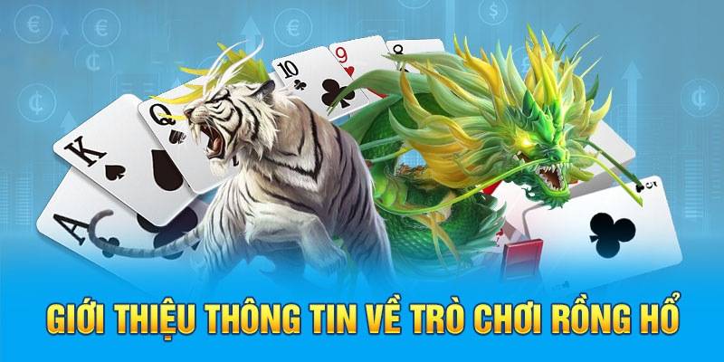 Tìm hiểu chi tiết về luật chơi Rồng Hổ KUBET