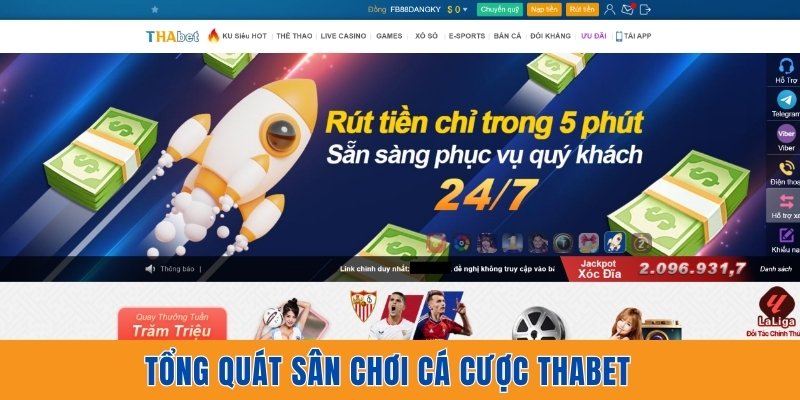 Tổng quát sân chơi cá cược Thabet 